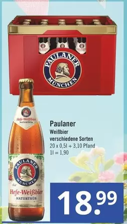 Paulaner - Weibier verschiedene Sorten