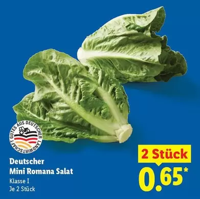 Mini Romana Salat