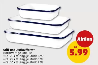 Grill-und-Auflaufform