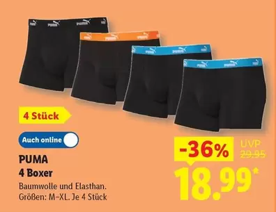 Puma - 4 Boxer