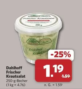 Frischer Krautsalat