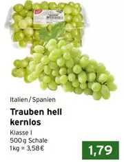 Trauben hell kernlos