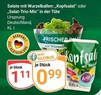 Salate mit Wurzelballen: „Kopfsalat“ oder „Salat-Trio-Mix“
