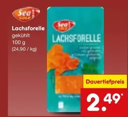 Lachsforelle