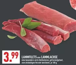 LAMMFILTS oder LAMMLACHSE