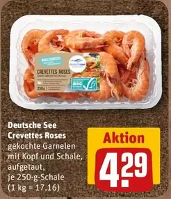 Crevettes Roses gekochte Garnelen mit Kopf und Schale, aufgetaut