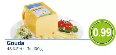 Gouda