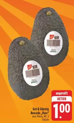 Avocado Hass
