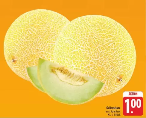 Galia Melonen
