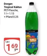 Tropical Kaktus