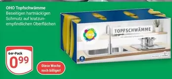Topfschwämme