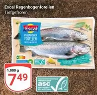 Regenbogenforellen Tiefgefroren