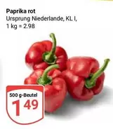 Paprika rot
