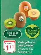 Kiwis gelb oder grün "Jumbo"