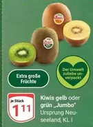 Kiwis gelb oder grün "Jumbo"