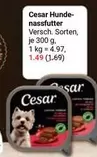 Hunde-nassfutter