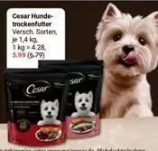 Hunde-trockenfutter
