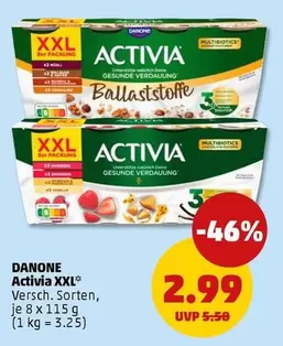 Danone - Activia XXL Ballaststoffe
