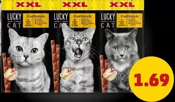 LUCKY CAT