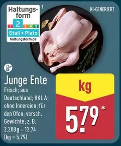 Junge Ente