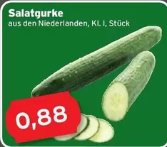 Salatgurke