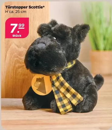 T
uevo
uevorstopper Scottie