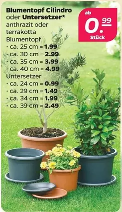 Blumentopf Cilindro oder Untersetzer