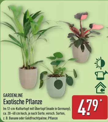 Exotische Pflanzen
