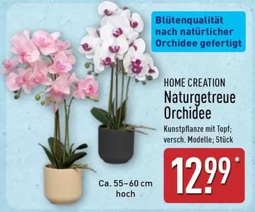 Naturgetreue Orchidee