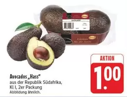Avocados "Hass"