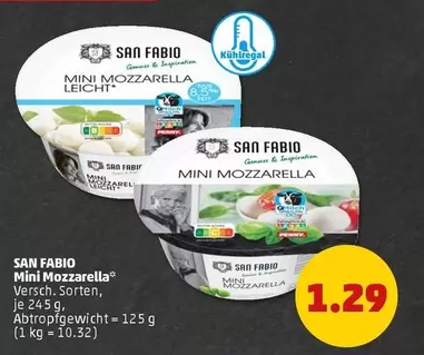 Mini Mozzarella Leicht