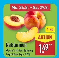 Nektarinen