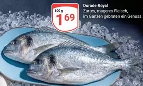 Royal - Dorade