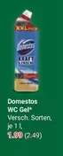 Kraft - WC Gel*