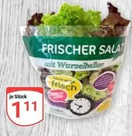 FRISCHER SALAT