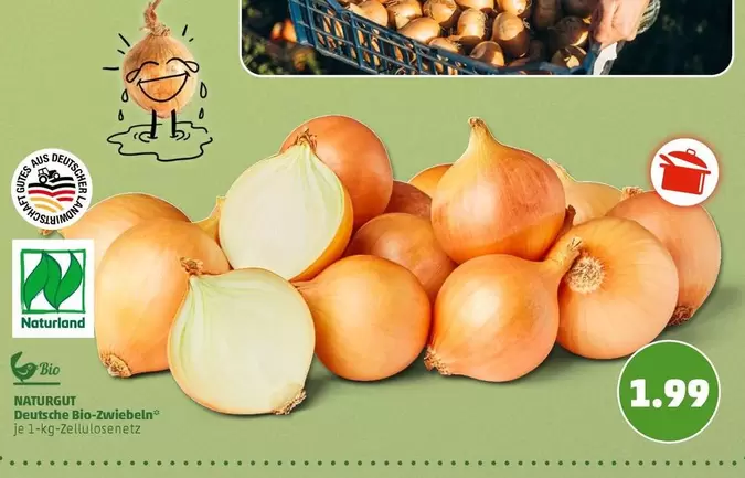 Bio - Zwiebeln