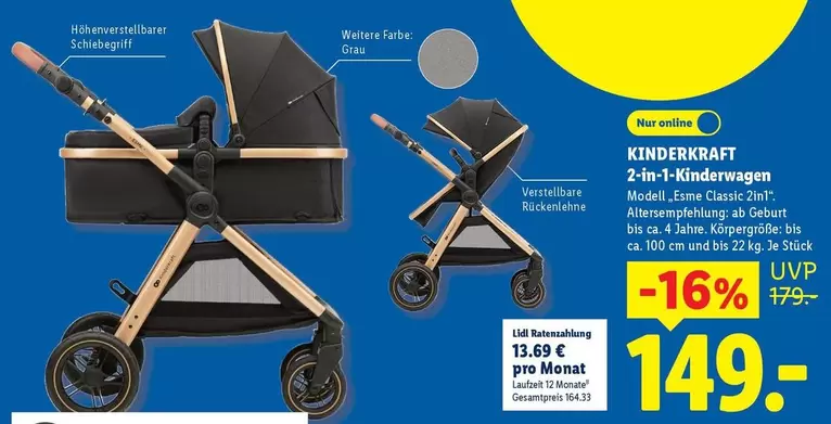 2-in-1-Kinderwagen
