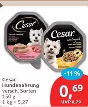 Cesar - Hundenahrung
