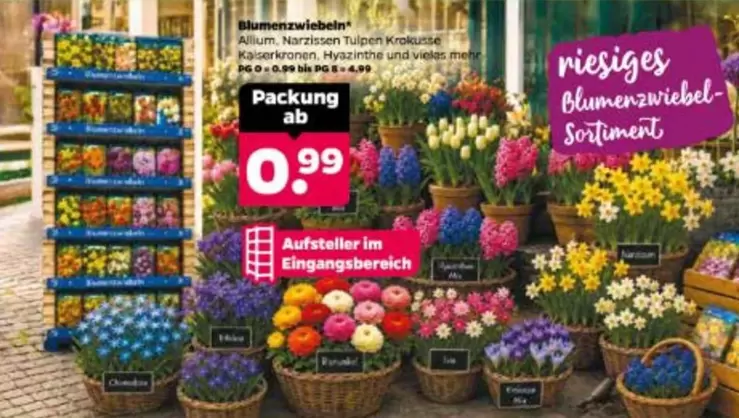 Riesiges Blumenzwiebel-Sortiment