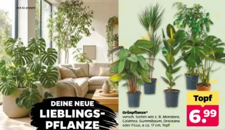 Grünpflanze