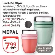 Ideal - Lunch-Pot Ellipse