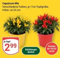 Capsicum Mix