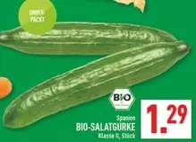 Bio - BIO-SALATGURKE