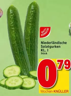 Niederländische Salatgurken Kl. I