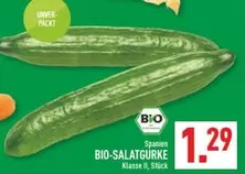 Bio - BIO-SALATGURKE