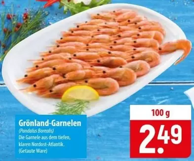 Grönland-Garnelen