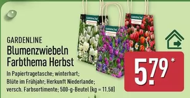 Blumenzwiebeln Farbthema Herbst