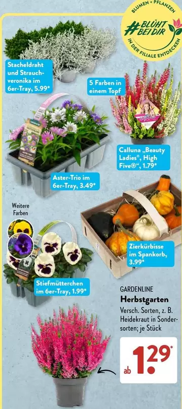 Herbgarten