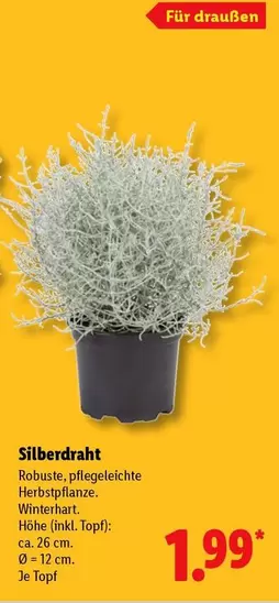 Silberdraht