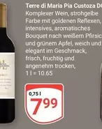 Terre di Maria Pia Custoza DOC